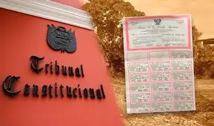 TC da plazo de 60 días al MEF para establecer pago de bonos de la deuda agraria