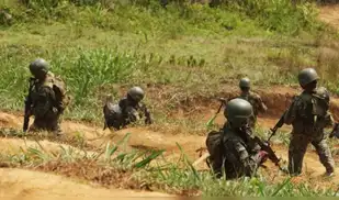 Fuerzas Armadas abaten a dos narcoterroristas en el VRAEM 