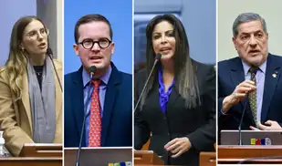 Congresistas pro-reelección se quedaron fuera