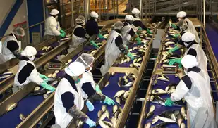 PBI creció 3,05% hasta junio, pero pesca y manufactura retrocedieron