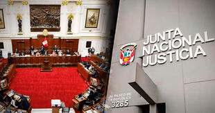Piden a la OEA activar la Carta Democrática en defensa del orden constitucional y la democracia en Perú