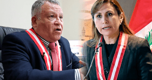 Juan Carlos Checkley sobre Patricia Benavides: "No la conozco, salvo cuando la veo aquí en audiencia"