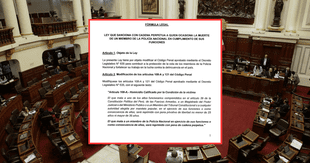 Congreso impulsa ley para sancionar con cadena perpetua a responsables de muerte de policías