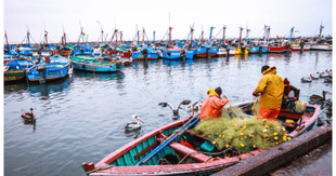 Tardanza de PRODUCE en reglamentar la ley  de pesca artesanal favorece a la pesca ilegal