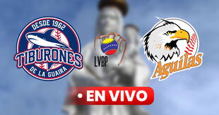 Tiburones de La Guaira vs Águilas del Zulia EN VIVO: ¿a qué hora es el Juego de la Chinita por la LVBP 2024 y dónde ver?