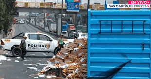 Caos vehicular en SMP: volcadura de camión con mangos bloquea un carril en la Panamericana