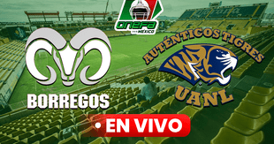 Auténticos Tigres vs Borregos Monterrey EN VIVO, FINAL Onefa 2024: hora y dónde ver el partido en México