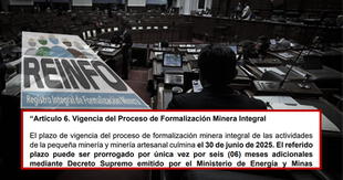 Reinfo: Las claves sobre la tercera ampliación otorgada desde el Congreso