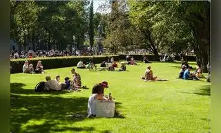 Vivir en contacto con la naturaleza ayuda a vivir mejor