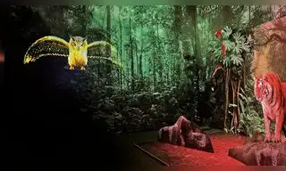 Magitek presenta: “NATURALEZA MÁGICA”, del 9 de febrero al 9 de abril en Plaza Norte