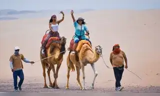 ¿Quieres conocer camellos en Ica? Conoce cómo llegar y cuánto cuesta vivir esta aventura ¿Quieres conocer camellos en Ica? Conoce cómo llegar y cuánto cuesta vivir esta aventura