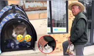 La reacción viral de dos gatos al ser llevados al veterinario de forma diferente: "Odio ser pobre", reaccionó un usuario