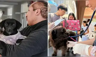 ¿Tienes mascotas? Municipalidad de Lima ofrecerá consultas y desparasitación gratis este 22 de septiembre: conoce lugar y hora de la campaña gratuita ¿Tienes mascotas? Municipalidad de Lima ofrecerá consultas y desparasitación gratis este 22 de septiembre: conoce lugar y hora de la campaña gratuita