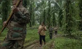 Coca creció más de 600% en Ucayali y territorios indígenas peligran: 6 líderes kakataibo asesinados desde 2020 Coca creció más de 600% en Ucayali y territorios indígenas peligran: 6 líderes kakataibo asesinados desde 2020