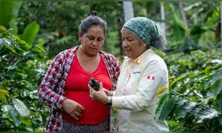 Productores de café, cacao y palma listos para exportar a Europa con “cero deforestación” Productores de café, cacao y palma listos para exportar a Europa con “cero deforestación”