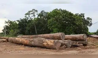 Expoamazónica Ucayali 2026: Proponen uso de madera 100% amazónica para albergar a familias afectadas por El Niño Expoamazónica Ucayali 2026: Proponen uso de madera 100% amazónica para albergar a familias afectadas por El Niño