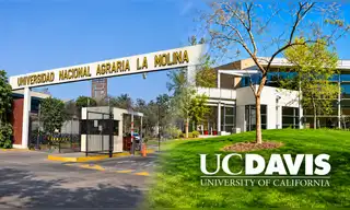 Oportunidades de pasantías en EE. UU.: Universidad Agraria La Molina y la Universidad de Califormnia-Davis coordinan programas de intercambio Oportunidades de pasantías en EE. UU.: Universidad Agraria La Molina y la Universidad de Califormnia-Davis coordinan programas de intercambio
