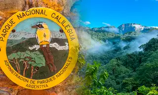 La histórica donación de 76.000 hectáreas de la familia Blaquier que ayudó a crear un parque nacional para proteger una selva única de Argentina