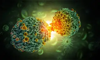Científicos descubren cómo el cáncer de páncreas reescribe su ADN para evadir los tratamientos Científicos descubren cómo el cáncer de páncreas reescribe su ADN para evadir los tratamientos