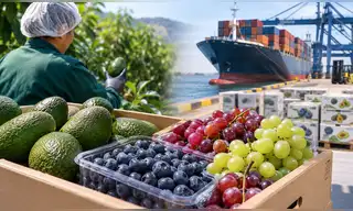 Agroexportaciones superan los US$8.300 millones, pero crecen 2,3%: tres frutas lideran los envíos Agroexportaciones superan los US$8.300 millones, pero crecen 2,3%: tres frutas lideran los envíos