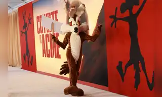 El Coyote cuesta arriba, por Diego Alonso Sánchez