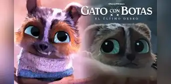 “Gato con botas 2”: la trágica historia de Perrito, el can al que quisieron ahogar de cachorro “Gato con botas 2”: la trágica historia de Perrito, el can al que quisieron ahogar de cachorro