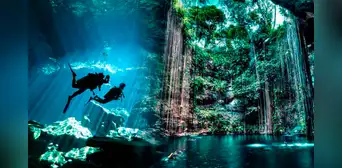 ¿Qué son los cenotes y por qué son uno de los más grandes atractivos de México? ¿Qué son los cenotes y por qué son uno de los más grandes atractivos de México?