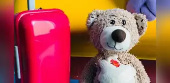 Grabadora oculta en osito de peluche pone al descubierto maltrato a niños con síndrome de Down Grabadora oculta en osito de peluche pone al descubierto maltrato a niños con síndrome de Down