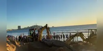 México: gigantesca ballena sorprende a bañistas en playas de Sinaloa [FOTOS]