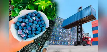 Agroexportaciones sumaron más de US$7.800 millones y crecieron 17,6% hasta octubre Agroexportaciones sumaron más de US$7.800 millones y crecieron 17,6% hasta octubre