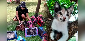 ¿Cómo sobreviven los gatos del parque Kennedy?