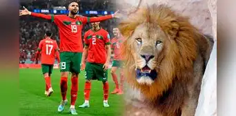 ¿Por qué la selección de Marruecos es conocida como los leones del Atlas? ¿Por qué la selección de Marruecos es conocida como los leones del Atlas?