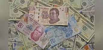 Precio de cierre del dólar hoy en México 2020: tipo de cambio este martes 12 de mayo Precio de cierre del dólar hoy en México 2020: tipo de cambio este martes 12 de mayo