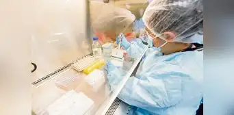 INS detecta la presencia de nuevo linaje de la variante ómicron en el país INS detecta la presencia de nuevo linaje de la variante ómicron en el país