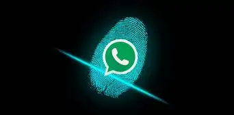 WhatsApp: conoce los métodos secretos para que tu cuenta sea más segura [FOTOS]