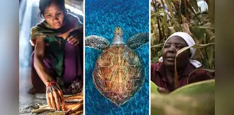 WWF: ¿qué es, cuál es su historia y cómo trabaja para proteger la naturaleza en el mundo? WWF: ¿qué es, cuál es su historia y cómo trabaja para proteger la naturaleza en el mundo?