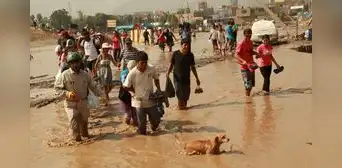 'El Niño costero': se eleva a 113 el número de víctimas a nivel nacional 'El Niño costero': se eleva a 113 el número de víctimas a nivel nacional