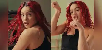 ¿Qué es el chicken teriyaki y cuál es su significado en la canción de Rosalía? ¿Qué es el chicken teriyaki y cuál es su significado en la canción de Rosalía?
