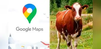 ¿Por qué razón Google Maps censura el rostro de las vacas? ¿Por qué razón Google Maps censura el rostro de las vacas?