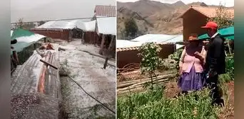Piden ayuda para campesinos que perdieron sus cultivos tras intensa granizada en Cusco [VIDEO]