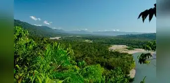 Cambio climático y actividad humana estarían dañando los bosques andinos del Perú
