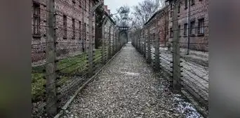 El horror de Auschwitz