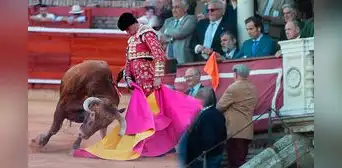 ¿Qué significa el indulto en una corrida de toros y quién puede pedirlo? ¿Qué significa el indulto en una corrida de toros y quién puede pedirlo?