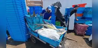 Abastecimiento y venta en el terminal pesquero del Callao continúa con normalidad pese a fuertes oleajes Abastecimiento y venta en el terminal pesquero del Callao continúa con normalidad pese a fuertes oleajes