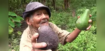 Marcelino Abad: ¿qué edad tiene el hombre más longevo del Perú y en qué región vive? Marcelino Abad: ¿qué edad tiene el hombre más longevo del Perú y en qué región vive?