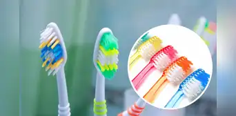 ¿Por qué los cepillos de dientes tienen cerdas de colores? Conoce su importante función ¿Por qué los cepillos de dientes tienen cerdas de colores? Conoce su importante función