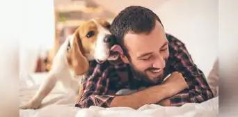 ¿Cómo saber si mi perro me considera su ‘persona especial’?