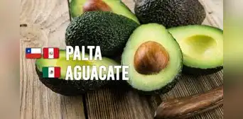¿Por qué los peruanos le decimos palta al aguacate a diferencia de otros países? ¿Por qué los peruanos le decimos palta al aguacate a diferencia de otros países?