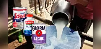 Prevalece el poder de negociación de la industria láctea Prevalece el poder de negociación de la industria láctea