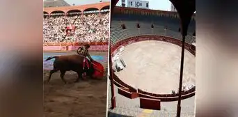 Plaza Acho: mueren 5 toros que iban a participar en corrida taurina en Lima Plaza Acho: mueren 5 toros que iban a participar en corrida taurina en Lima